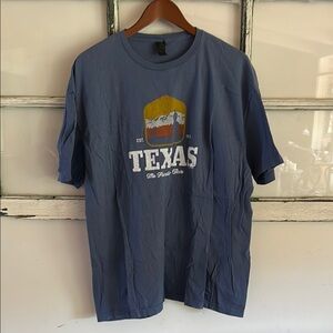 Gildan Blue Short Sleeve Tee with Sunset Graphic